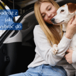 Bezpieczna podróż z małym psem - jaki transporter wybrać do auta?
