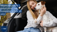 Bezpieczna podróż z małym psem - jaki transporter wybrać do auta?