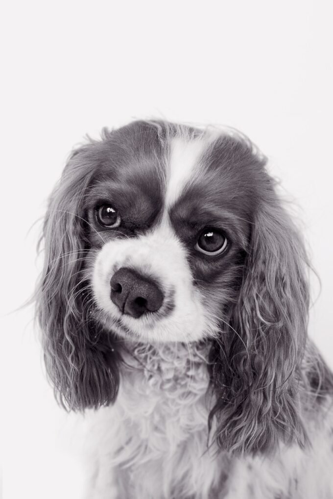 Ile kosztuje reklama w tvp