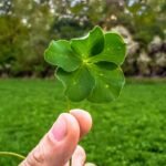 Ile kosztuje ulgowy bilet do kina